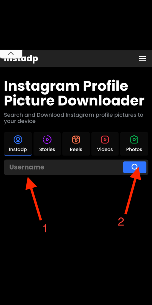 download reels instagram instadp